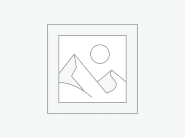 Cricket Training Ball